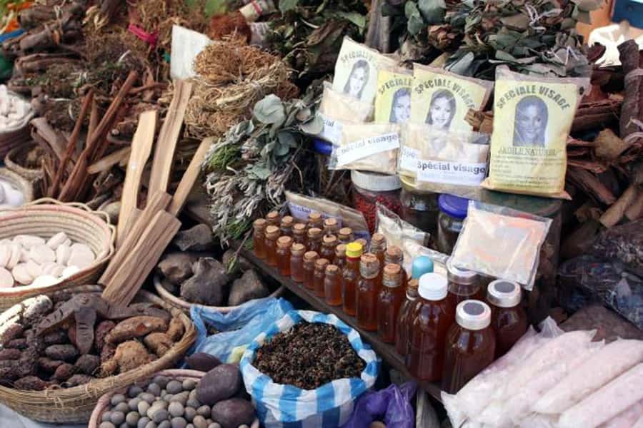 Durban: Top 10 City Sights and Walking Tour - Guides can shape the whole day