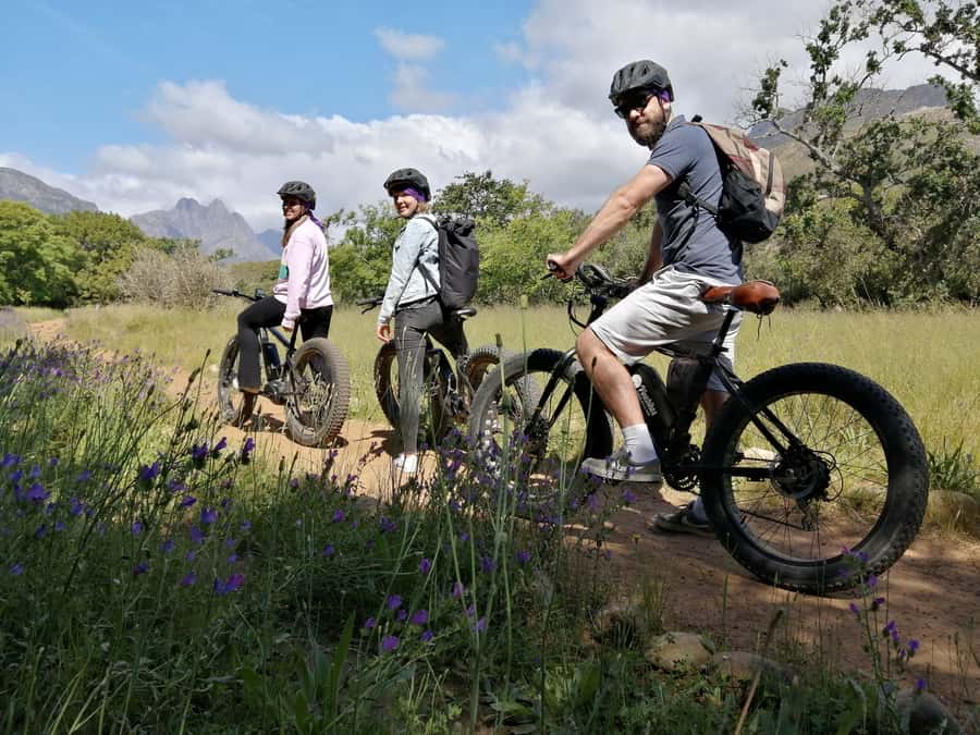 E-Bike & Hike Jonkershoek - Fynbos, mountains, and sugar birds