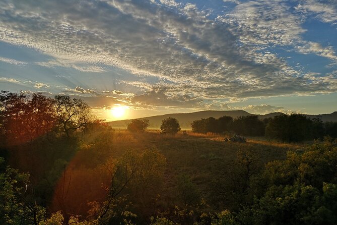 Early Morning Balloon Safari with Breakfast from Magaliesburg - Who will enjoy it most