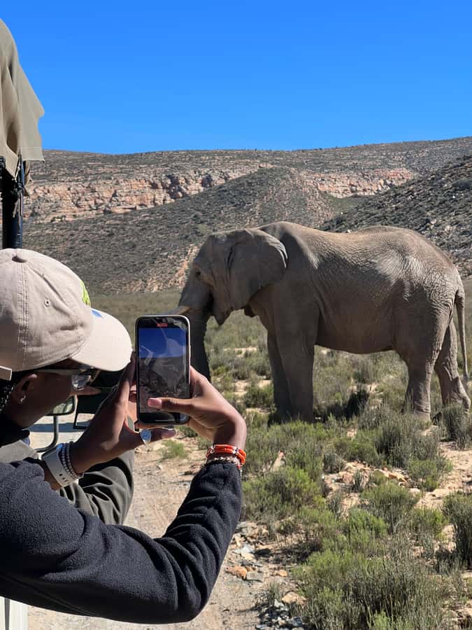 Early Morning Safari Big Five Experience Near Cape Town, SA - Key points to know before booking