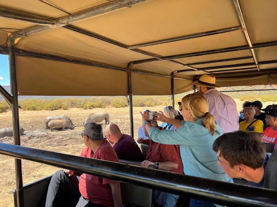 Early Morning Safari Big Five Experience Near Cape Town, SA - Who will enjoy this safari most?