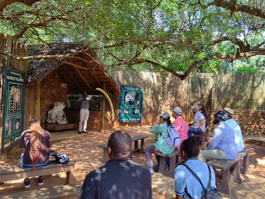 Elephant & Monkey Santuary with Lion Park Tour - Three kinds of wildlife in one Johannesburg day