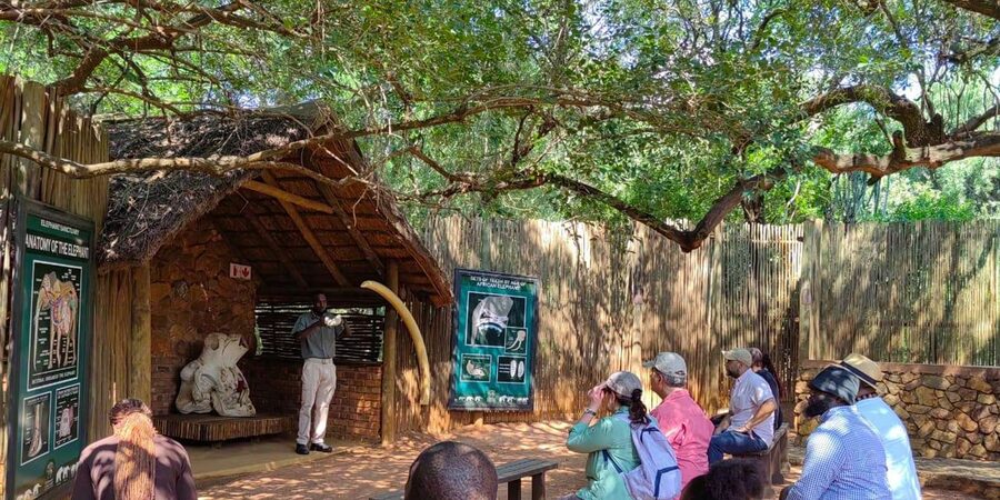 Elephant & Monkey Santuary with Lion Park Tour - The long ride back to Johannesburg