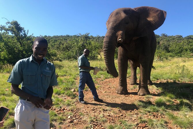 Elephant Sanctuary Tour from Johannesburg - The 1.5-Hour Ride From Johannesburg