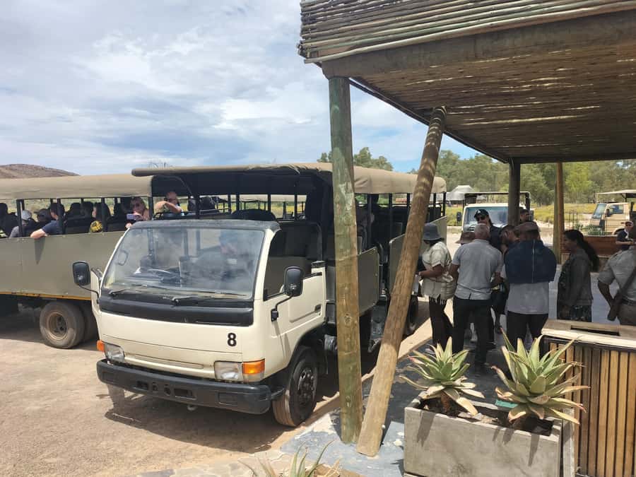 Experience an Amazing Big5 Safari near Cape Town! - Should you book it?