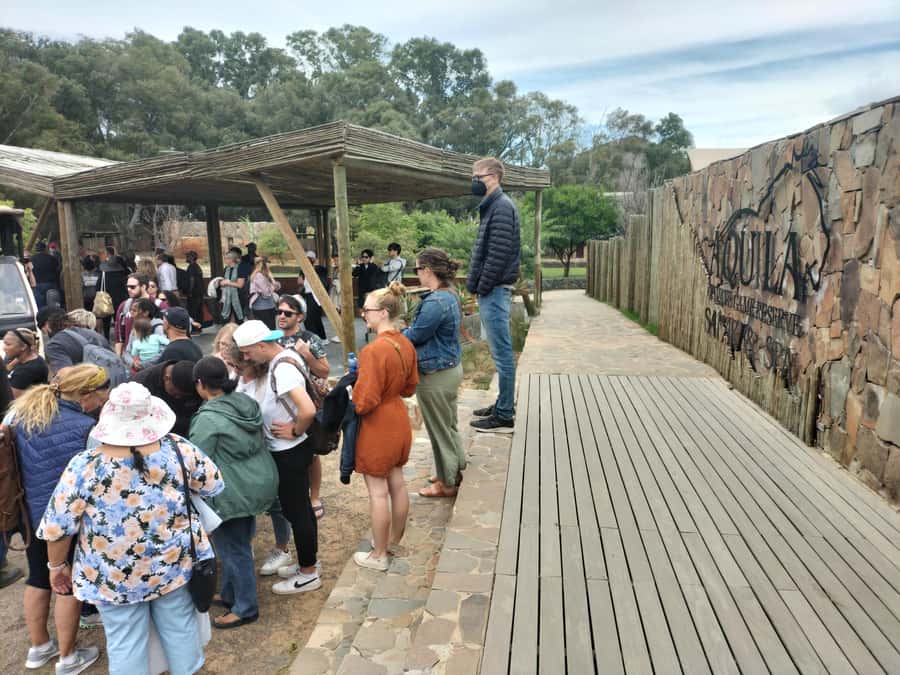 Experience an Amazing Big5 Safari near Cape Town! - The 2 to 3 hour shared game drive
