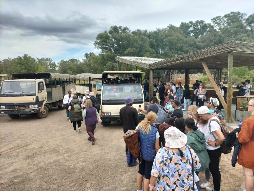 Experience an Amazing Big5 Safari near Cape Town! - Is $345 a fair price?