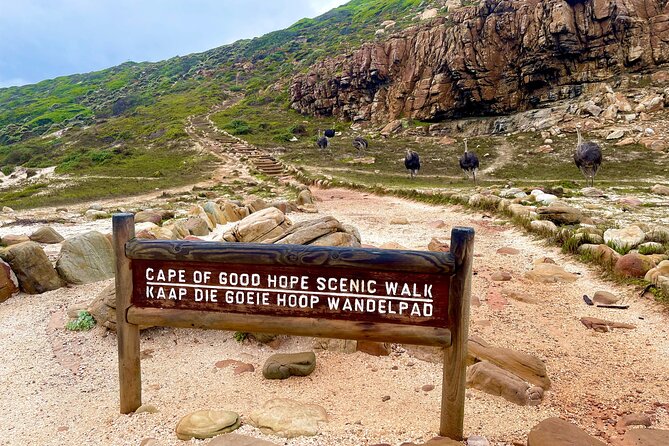 Explore Cape of Good Hope and Boulders Beach: Private Tour - Lunch in Simons Town