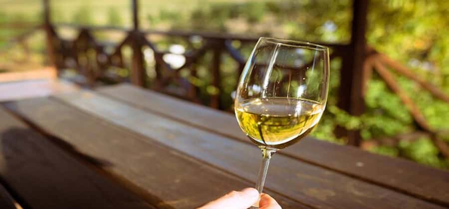 Explore Table Mountain, Kirstenbosch, & Constantia wineries. - Key points at a glance