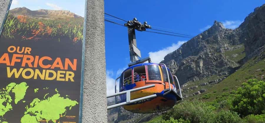 Explore Table Mountain, Kirstenbosch, & Constantia wineries. - The private vehicle and guide make the difference