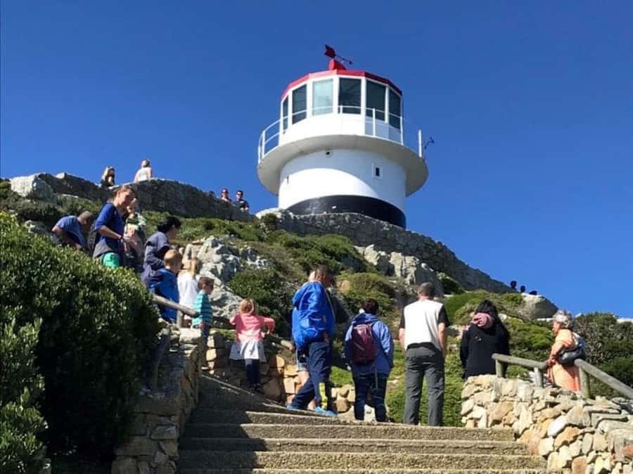 Fascinating Cape Peninsula Experience (private & exclusiv) - A full Cape Peninsula day without the bus routine
