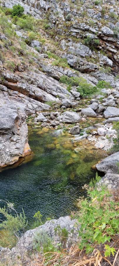 Fly Fishing in Cape Town - Should you book Cape Town fly fishing?