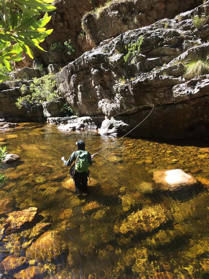 Fly Fishing in Cape Town - The catch and release moment
