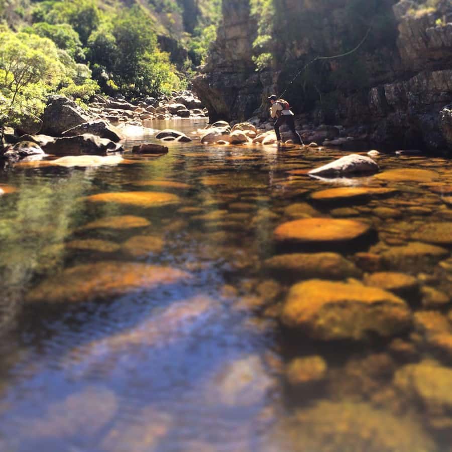 Fly Fishing in Cape Town - Practical booking advice before you go