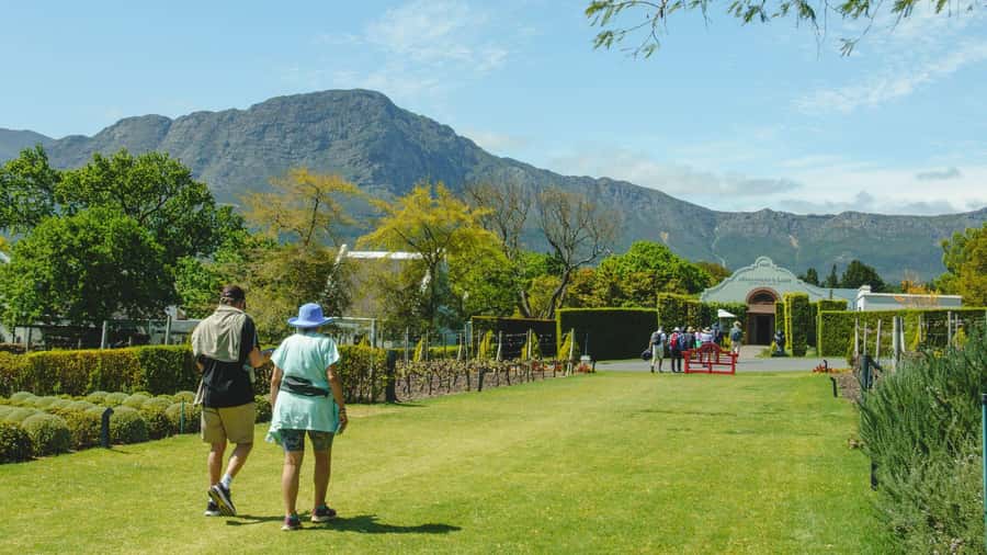 Franschhoek: An enchanting storytelling walk to 3 wine farms - What makes this Franschhoek walk worth your time