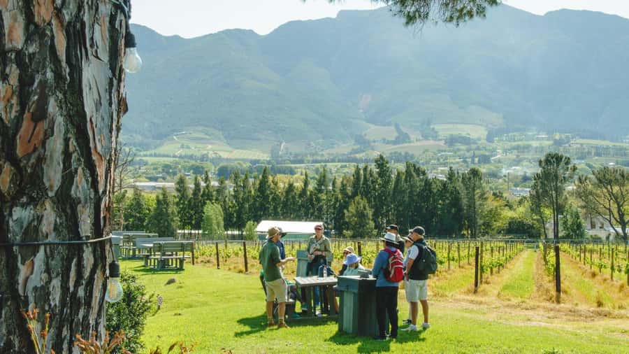 Franschhoek: An enchanting storytelling walk to 3 wine farms - Mont Rochelle and the first wine tasting