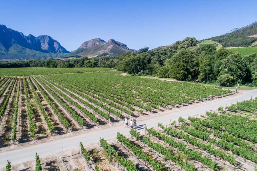 Franschhoek: An enchanting storytelling walk to 3 wine farms - The final 15 minutes back to town