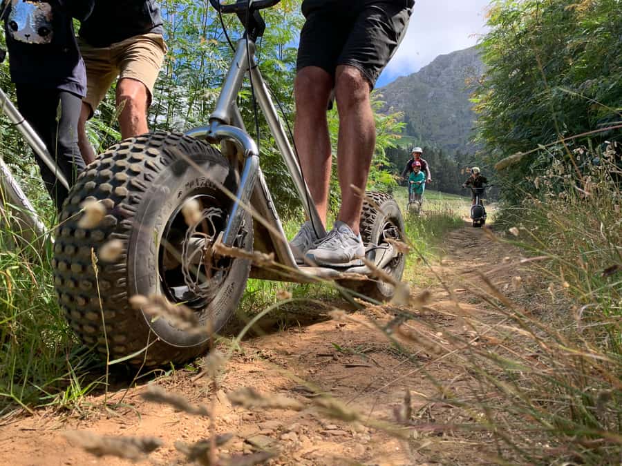 Franschhoek: Downhill Scooter Tour - Who will enjoy the gravity scooters most?