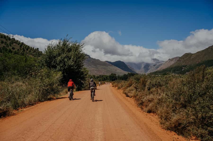 Franschhoek: E-Bike Guided Winery Tour - The second winery: a different side of the morning