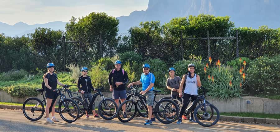 Franschhoek: E-bike Tour with Wine Tasting and Lunch - Wine Tasting and Lunch in Franschhoek