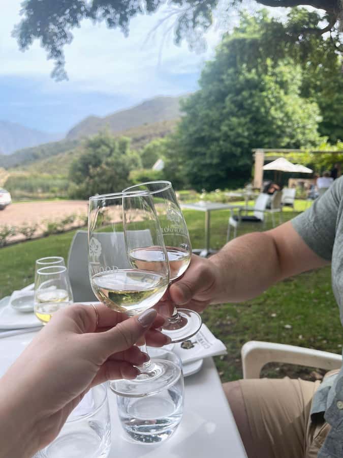Franschhoek E-Bike & Wine Tour - Riding through Franschhoek at an easy pace