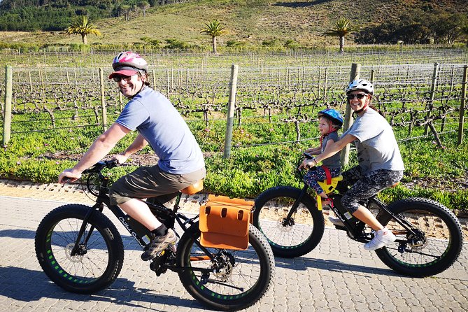 Franschhoek E-Bike Wine Tour (Half Day) - Why an e-bike suits Franschhoek