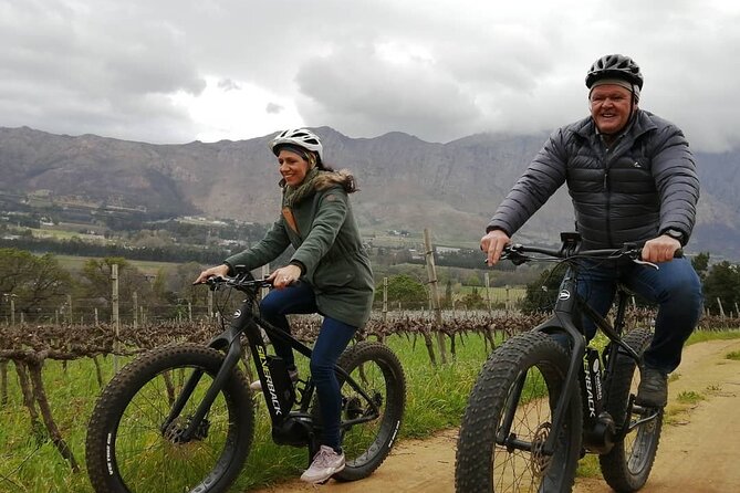 Franschhoek E-Bike Wine Tour (Half Day) - What the guide adds to the ride