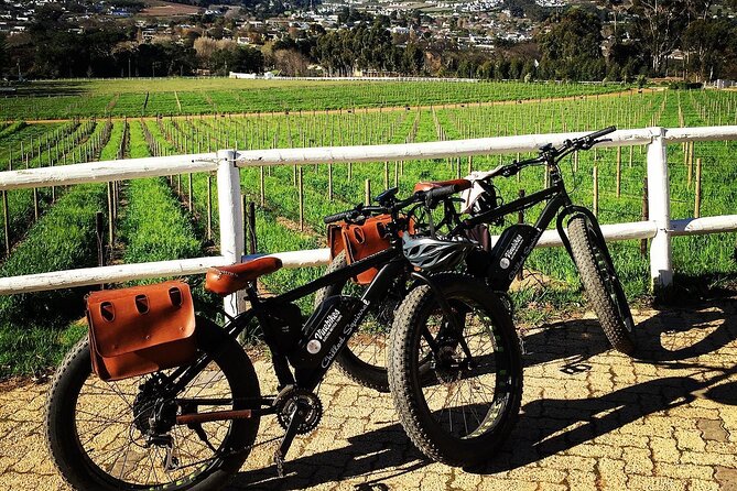 Franschhoek E-Bike Wine Tour (Half Day) - Morning or afternoon: choosing your departure
