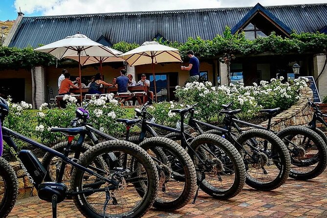 Franschhoek E-Bike Wine Tour (Half Day) - Is $69.26 good value?
