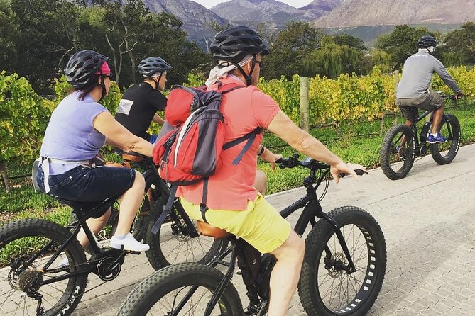 Franschhoek E-Bike Wine Tour (Half Day) - Who will enjoy this half-day tour