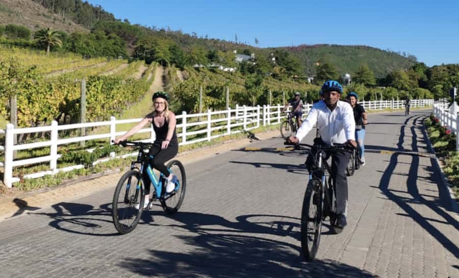 Franschhoek: E-Bike & Wine Tour (Shared Tour) - Key points at a glance