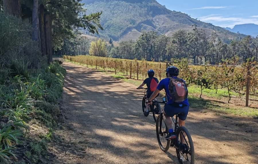 Franschhoek: E-Bike & Wine Tour (Shared Tour) - Should you book the Franschhoek E-Bike and Wine Tour?