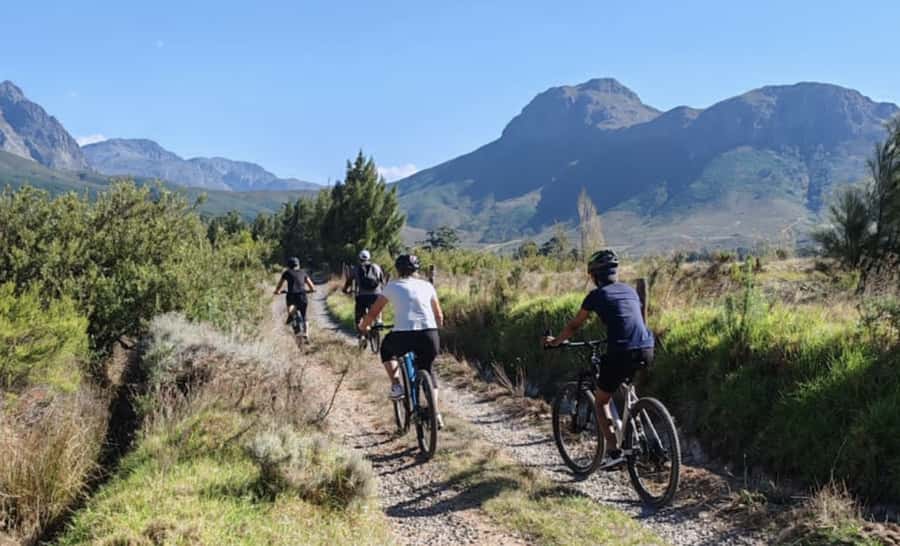 Franschhoek: E-Bike & Wine Tour (Shared Tour) - Why an e-bike works so well in Franschhoek