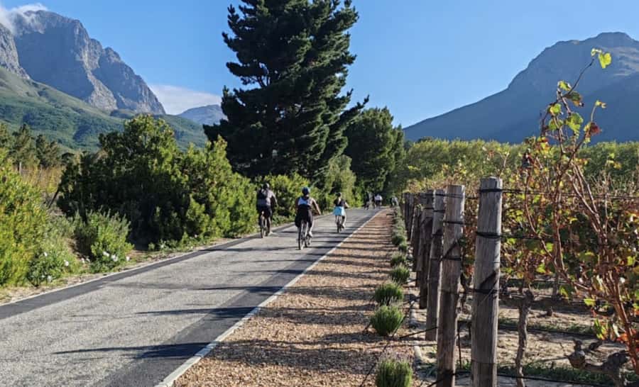Franschhoek: E-Bike & Wine Tour (Shared Tour) - What the winery visits add to the ride