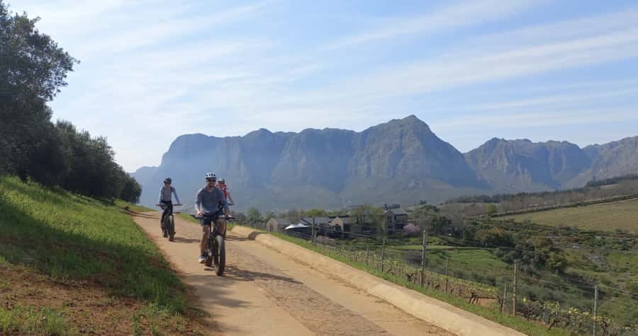 Franschhoek: E-Bike & Wine Tour (Shared Tour) - Who should book this tour?