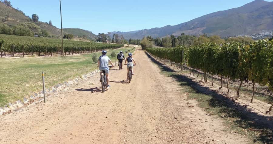 Franschhoek: E-Bike & Wine Tour (Shared Tour) - Practical advice for a smoother morning or afternoon