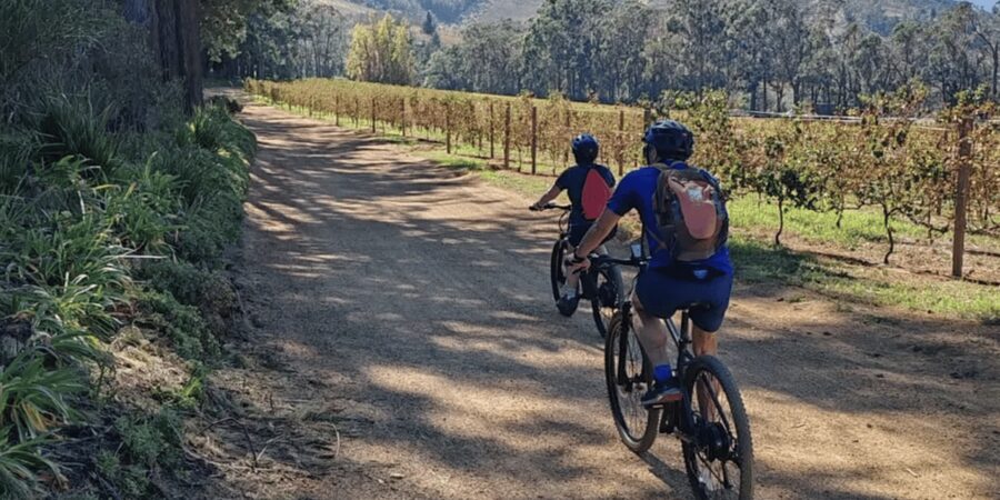 Franschhoek: E-Bike & Wine Tour (Shared Tour) - The overall experience