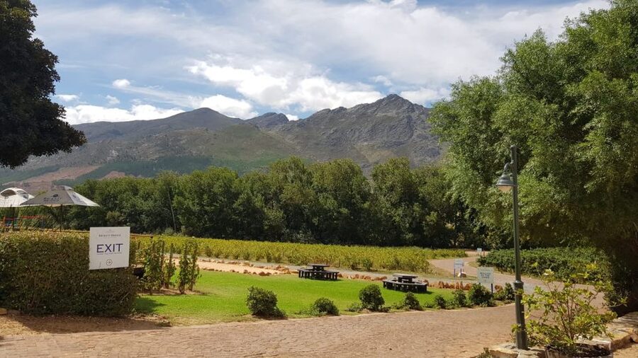 Franschhoek & Stellenbosch: Full-Day Wine Tour - Starting with wine, food and the winemaker