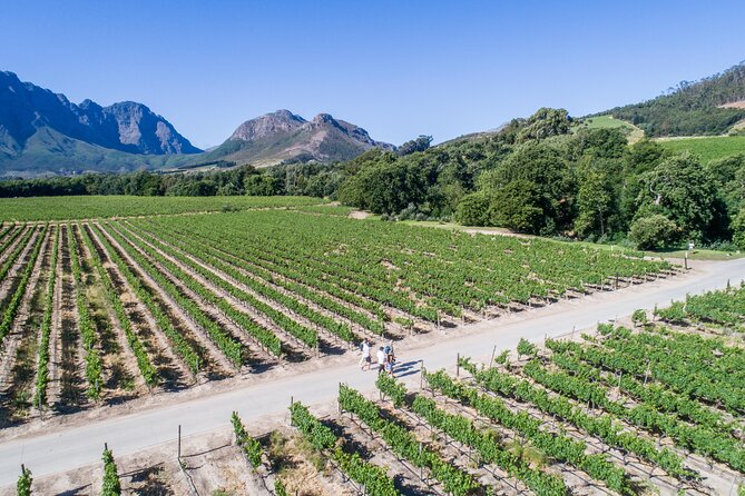 Franschhoek Wine Walk with Lunch - Why this walk feels different from a standard wine tour