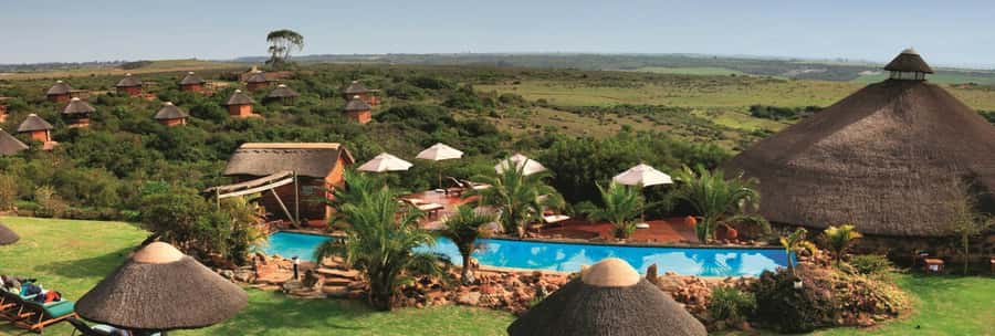 From Cape Town: 2-Day Safari at Garden Route Game Lodge - Quick takeaways from the Cape Town safari