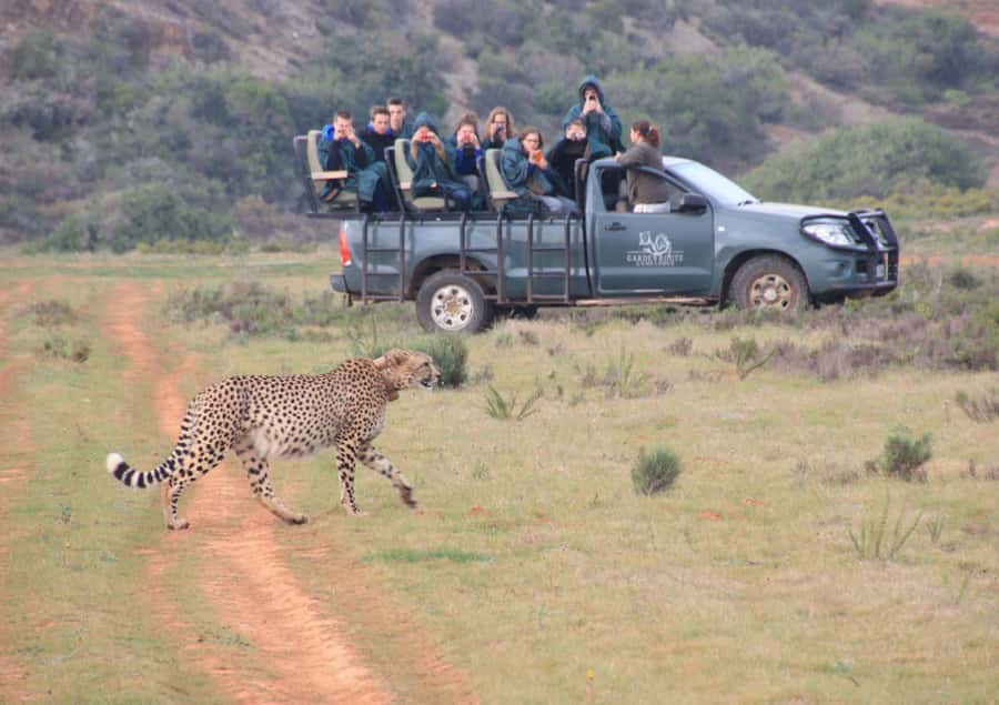 From Cape Town: 2-Day Safari at Garden Route Game Lodge - Cape Agulhas, the southern tip of Africa