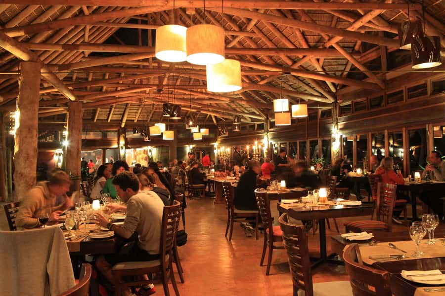From Cape Town: 2-Day Safari at Garden Route Game Lodge - What the $533 price really buys you