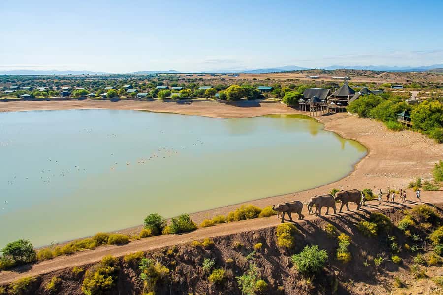 From Cape Town: 3-Day Garden Route Highlights and 4x4 Safari - Route 62 turns the first day into a scenic road trip