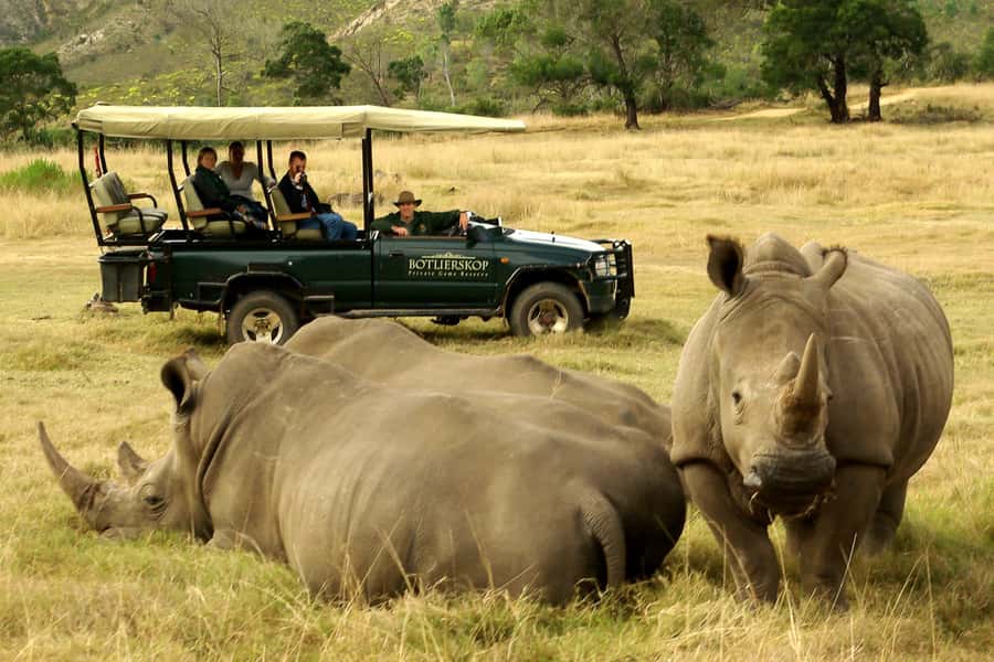 From Cape Town: 3-Day Garden Route Highlights and 4x4 Safari - The Klein Karoo morning offers one worthwhile extra