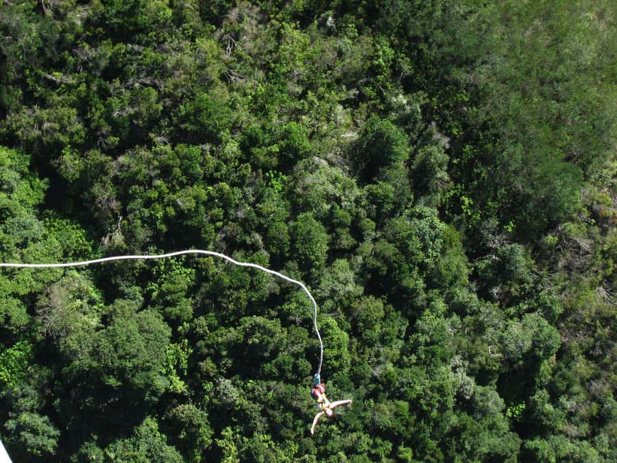 From Cape Town: 3-Day Garden Route Highlights and 4x4 Safari - Bloukrans Bridge adds a serious optional thrill