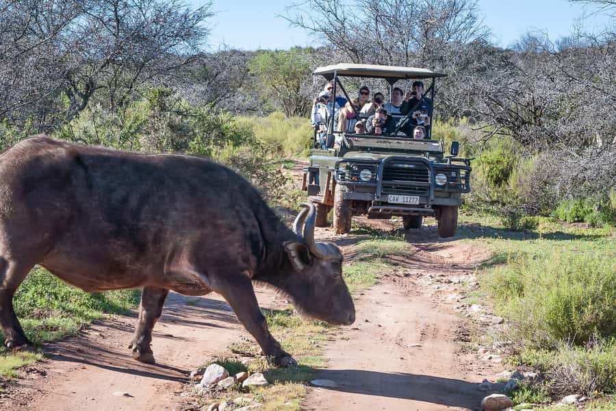From Cape Town: 3-Day Garden Route Highlights and 4x4 Safari - What the $417 price really includes