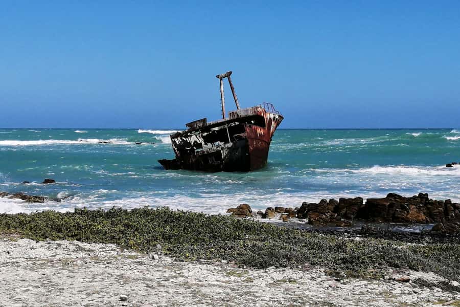 From Cape Town: 3-Day Garden Route Safari and Coastal Tour - Guides, group size, and the road experience