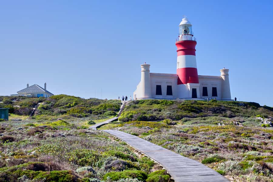From Cape Town: 3-Day Garden Route Safari and Coastal Tour - Should you book it?