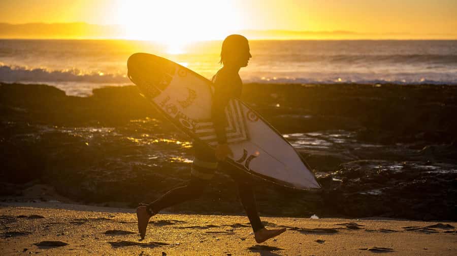 From Cape Town: 5-Day Best of Garden Route and Addo Safari - Day 3: Addo elephants, buffalo, and a beach at Jeffreys Bay