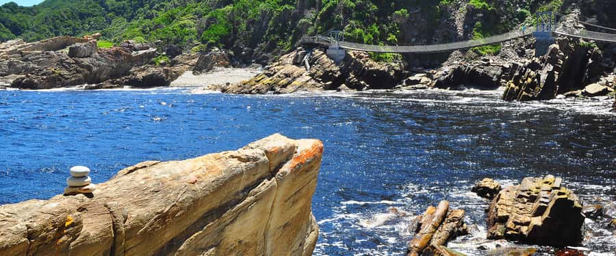 From Cape Town: 5-Day Best of Garden Route and Addo Safari - Day 4: Tsitsikamma and the Knysna Lagoon